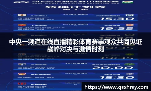 中央一频道在线直播精彩体育赛事观众共同见证巅峰对决与激情时刻