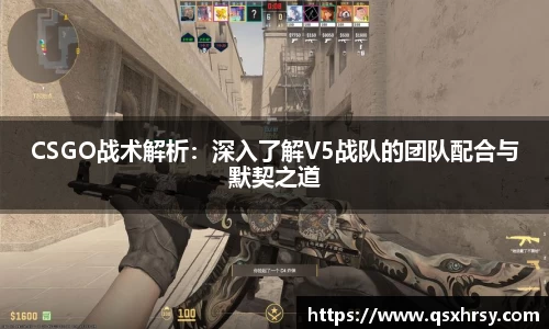 bsports必一体育
