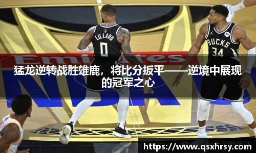 bsports必一体育