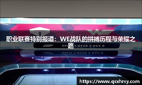 职业联赛特别报道：WE战队的拼搏历程与荣耀之路