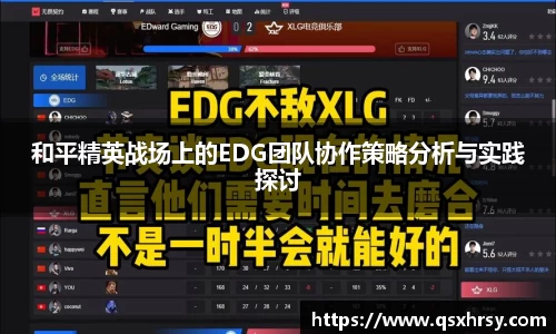和平精英战场上的EDG团队协作策略分析与实践探讨