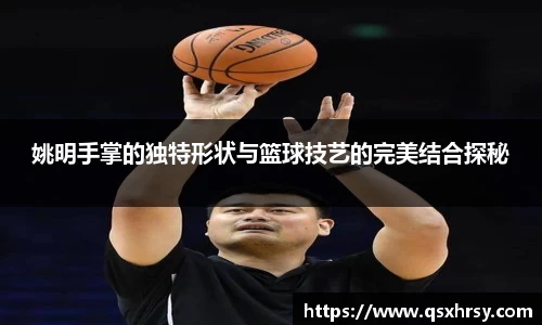 姚明手掌的独特形状与篮球技艺的完美结合探秘