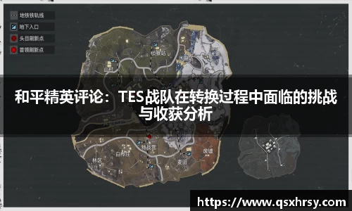 和平精英评论：TES战队在转换过程中面临的挑战与收获分析